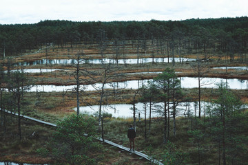 Lahemaa National Park In Estonia