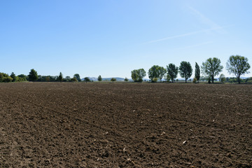 Landwirtschaft