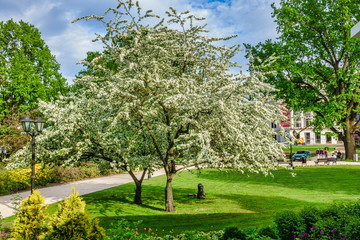 Fototapeta na wymiar View of park in downtown, Riga, Latvia