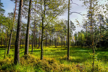 Lahemaa National Park is a park located in northern Estonia,  east from the capital Tallinn. 