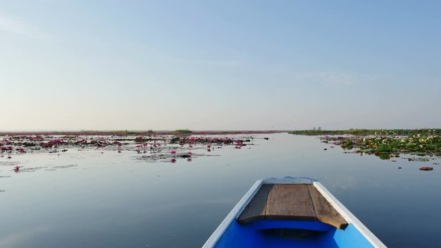 Boat trip at pink lotus lake, Udon Thani Province, Thailand.