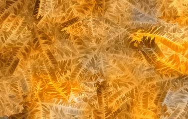 Orange autumn background from exotic leaves © ArtDingo