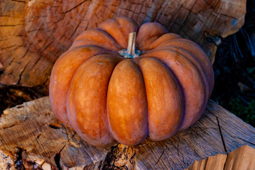 La zucca di halloween