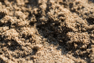 Sunlit sandy beach grains macro closeup