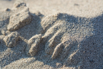 Sunlit sandy beach grains macro closeup