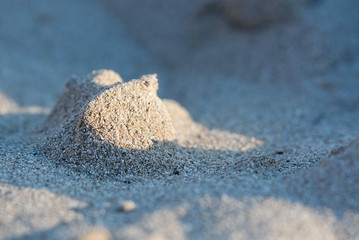 Sunlit sandy beach grains macro closeup