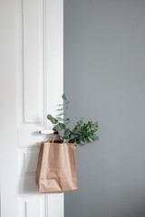 Eucalyptus branches in the kraft package.