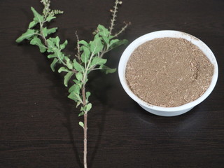 Tulsi or The Holy Basil flower with blurred leaves and Holi Basil Leaves Powder on Wooden Background,Tulsi Leaf Powder in White Bowl on Wooden Background,Holi Basil Leaf and Powder on Wooden,