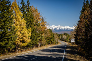 Obraz premium road in the mountains