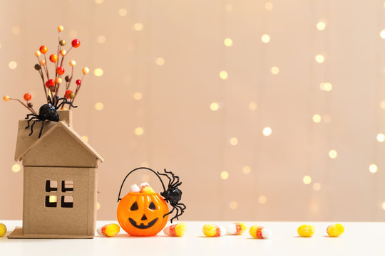 Halloween pumpkin with spider on a shiny light background