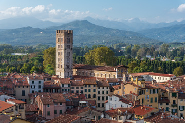Lucca-Italy - obrazy, fototapety, plakaty