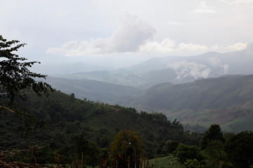 The could is flying from the forest to the sky to become a rain