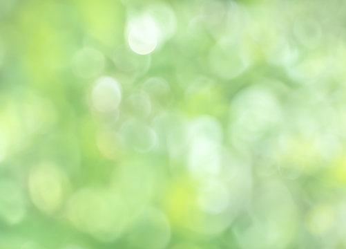  Abstract blurred image of a spring garden