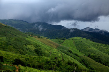 The could is flying from the forest to the sky to become a rain