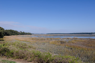 Fototapeta premium Wetlands and marsh area in Beaufort South Carolina, at low tide on a sunny day