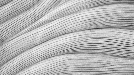 Abstract wave curve pattern on wall background