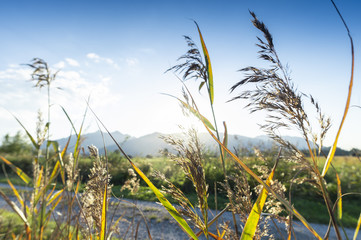 tief stehende Sonne im bayerischen Voralpenland