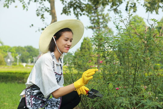 young woman gardening 
