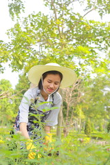 young woman gardening 