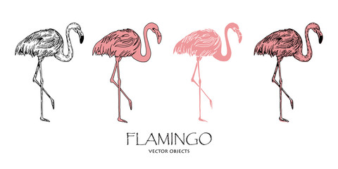 Vector flamingos set. Different styles of one. Vector objects.