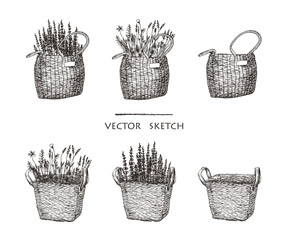Vector illustration. Wicker baskets with flowers. Ethnic style vector sketch.