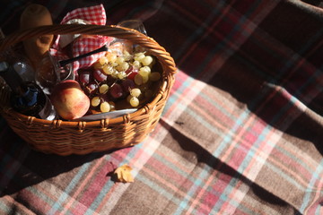 a picnic basket with  wine, cheese, grapes, apples outdoors
