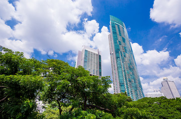 Fototapeta premium Business office skyscrapers with fresh green tree