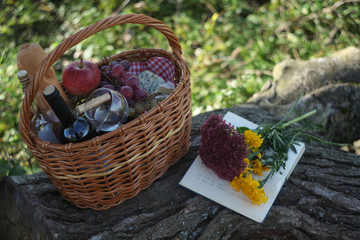 a picnic basket with  wine, cheese, grapes, apples outdoors