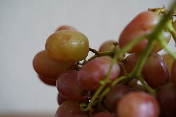 Weintrauben, rot