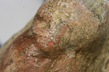 Restoration: close up. conservation of paintings. conservation of sculptures