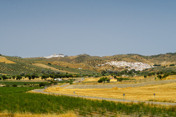 Fototapeta na wymiar Village of the Comarca of white villages of Cadiz called Olvera
