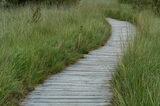Bohlensteg im Hochmoor Ewiges Meer in Ostfriesland