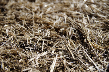 Hay background