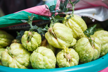 Farm fresh green organic vegetable, Momordica charantia, known as bitter melon (balsam apple,...