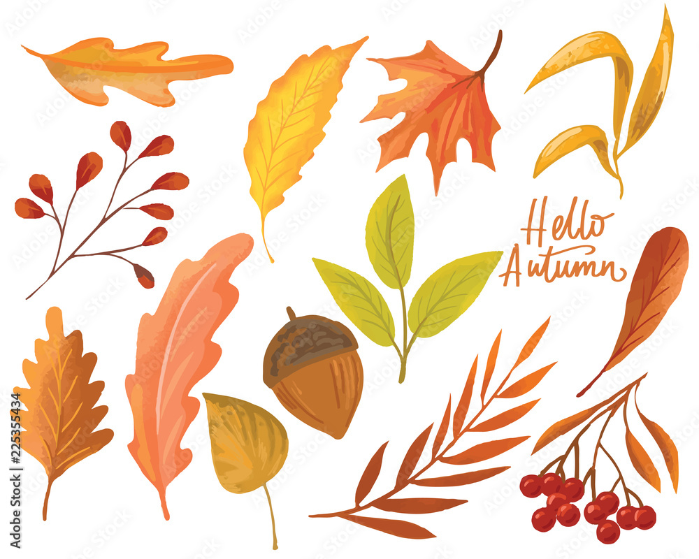 Wall mural autumn set with leaves, berries, mushrooms and lettering elements