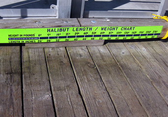 Halibut Chart for Fishermen