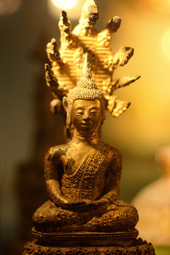 buddha image and the seven-headed naga