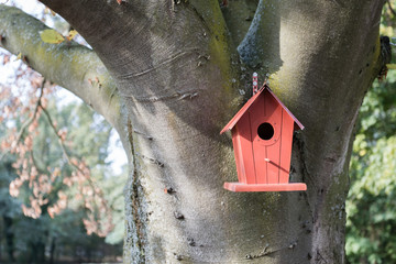Nistkasten an einem Baum
