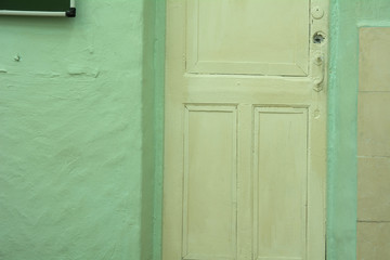 Background is an old white door and a green plaster wall
