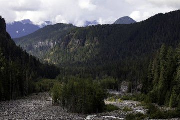 Fototapeta na wymiar Mount Rainier National Park, WA, USA.