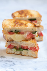 Delisious grilled cheese caprese panini with tomato, mozzarella