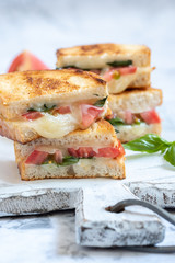 Delisious grilled cheese caprese panini with tomato, mozzarella