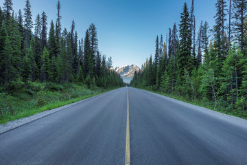 Fototapeta na wymiar Scenic road Trip in the Canadian Rockies, Canada.