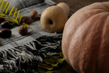 Autumn composition with a pumpkin plaid and chestnut trees on a wooden brown table.