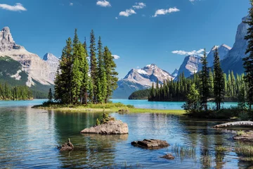  Canada landschap. Geesteiland in het Nationale Park van Jasper, Alberta, Canada. © lucky-photo