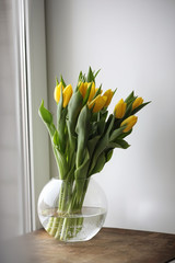 A bouquet of yellow tulips in a vase on the windowsill. A gift t