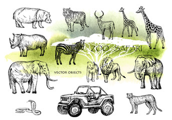 Vector hand drawn sketched animal set. Zoo safari: elephant, zebra, lion, rhino, giraffe , hippo, snake, leopard, tiger, antelope and safari jeep. Pen style vector. Watercolor style safari background. © Milana