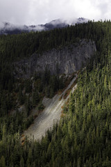 Mount Rainier National Park, WA, USA.