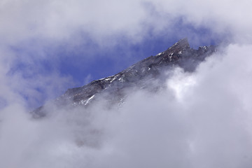Mount Rainier National Park, WA, USA.