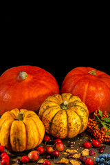 Traditional German Autumn pumpkins, berries and nuts as still-life